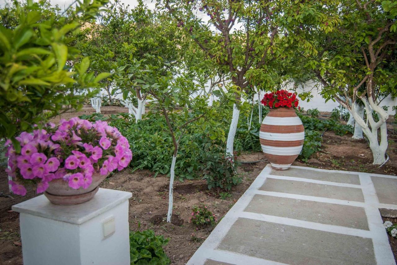 Perivoli 3-Chora Apartment Agkidia Ngoại thất bức ảnh